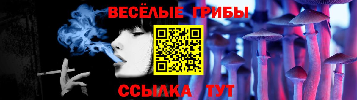 Карачаевск  Галлюциногенные грибы Cubensis  Вход с VPN 